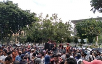 Sapma PP minta Kejati Riau usut dugaan korupsi walikota Pekanbaru Firdaus, ST, MT